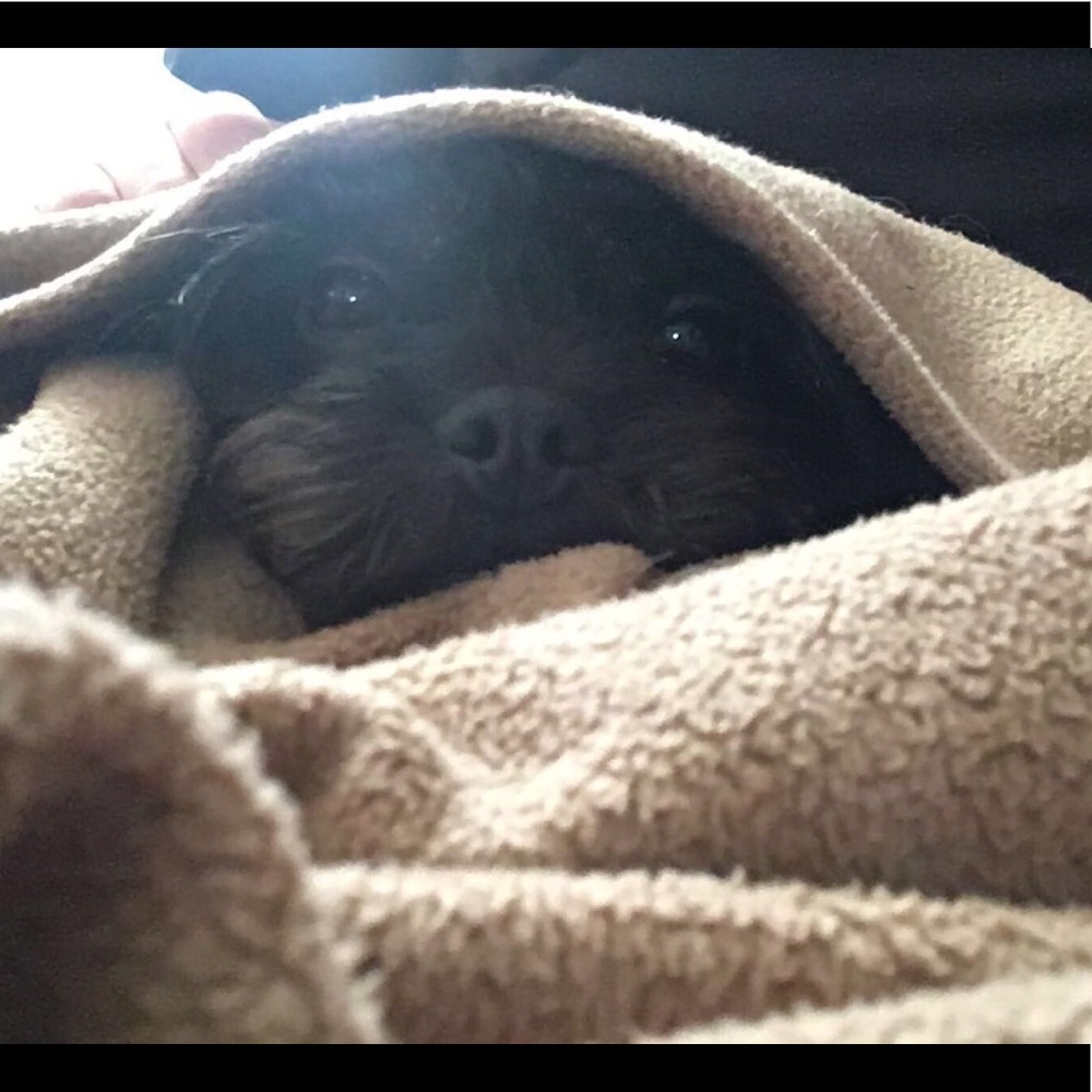 Meet your Posher, Liam